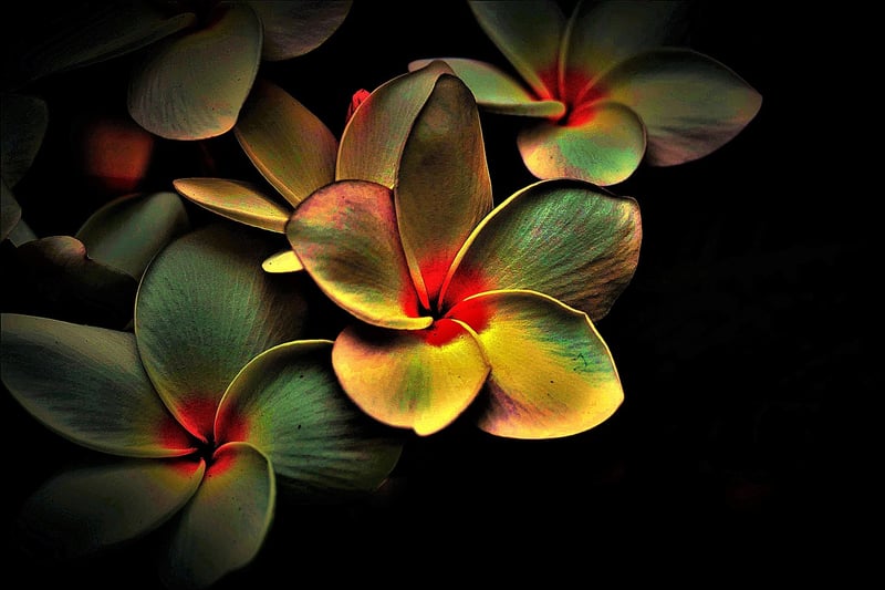 Dimensional Shifts